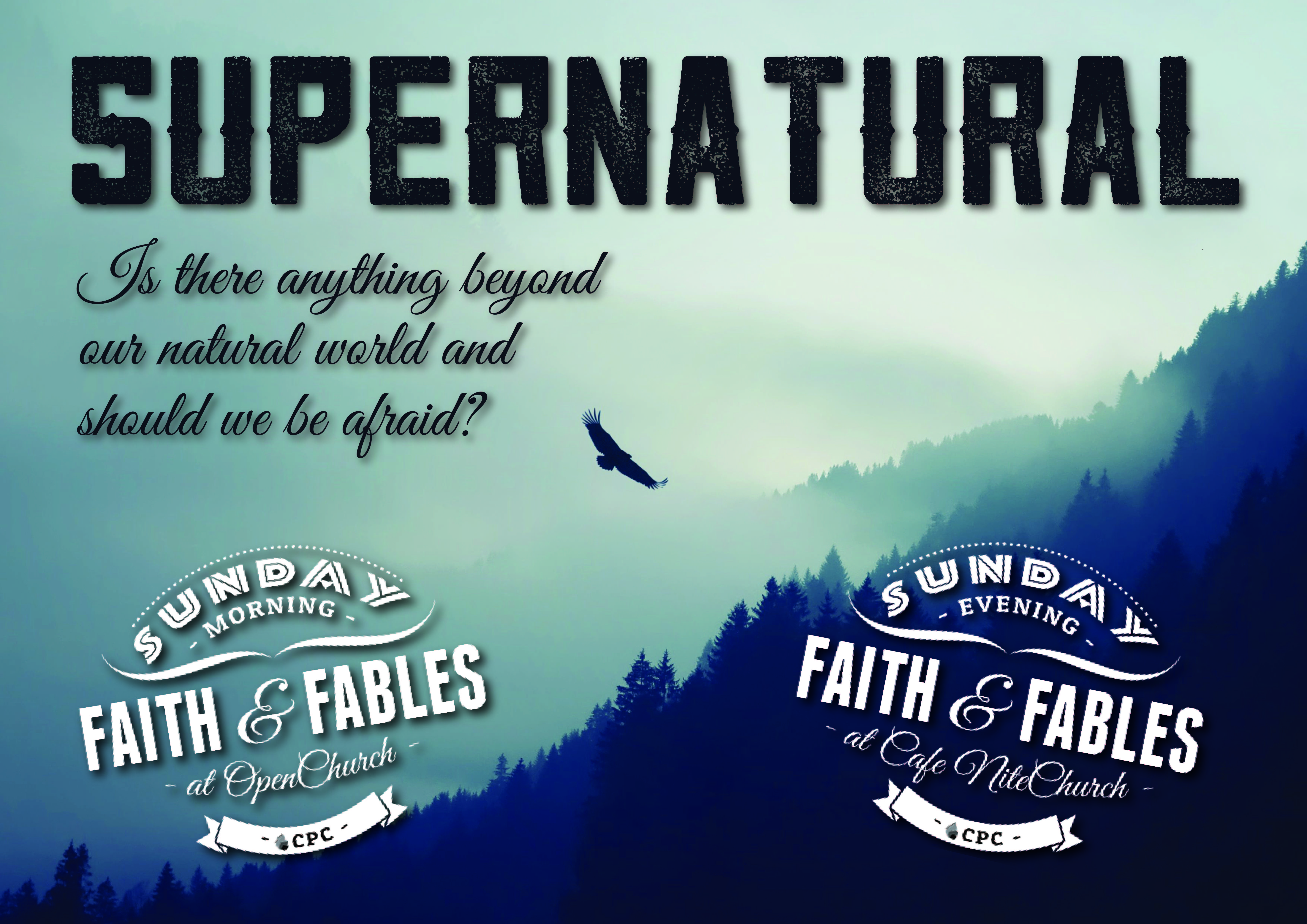 Christ and the Supernatural Image